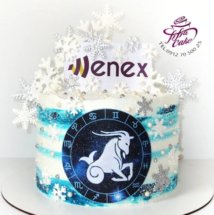 Zodiac cakes- capricorn cake