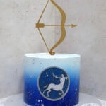 Zodiac cakes- sagittarius cake