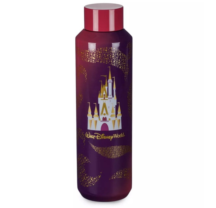 Disney Starbucks Tumblers - water bottle