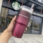 Starbucks Stanley Tumblers - Pink Ombre