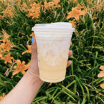 Starbucks Aesthetic Drinks - Vanilla Paradise Drink