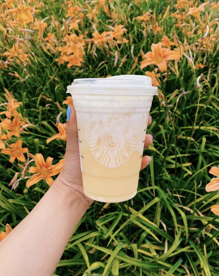 Starbucks Aesthetic Drinks - Vanilla Paradise Drink