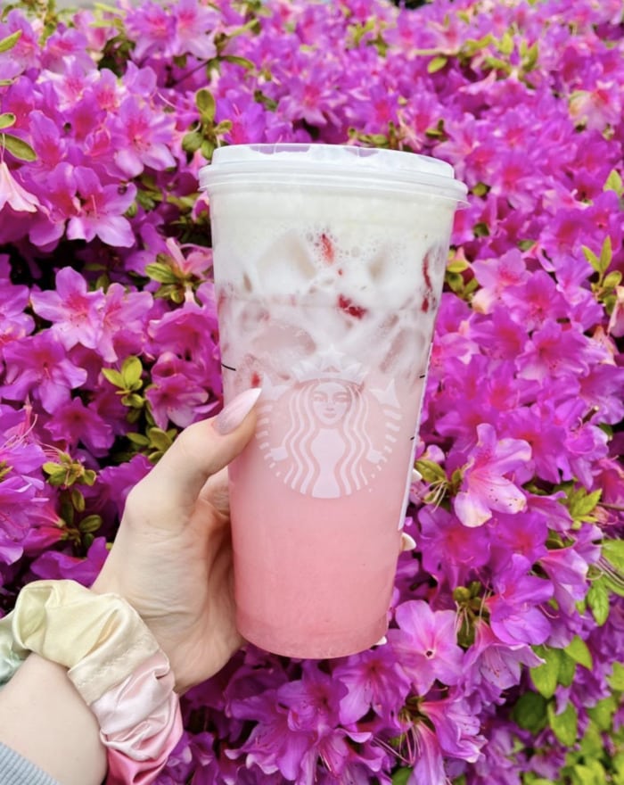Starbucks Aesthetic Drinks - Vanilla Pink Drink