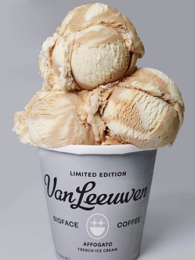 We Ranked 25 Van Leeuwen Ice Cream Flavors