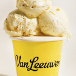 ice cream brands ranked - van leewen's