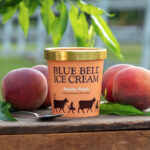 ice cream brands ranked - blue bell