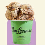 van leeuwen flavors ranked - hazelnut fudge cookie