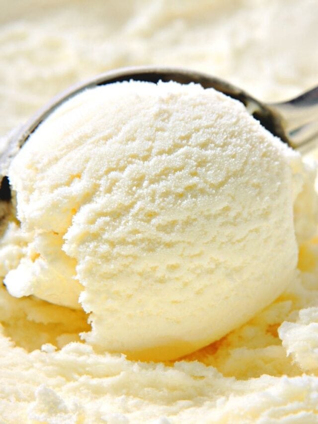 We Tried 11 Brands And Found The Best Vanilla Ice Cream