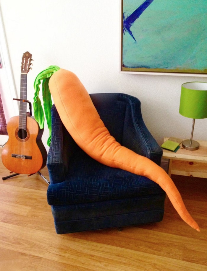 food pillows - carrot