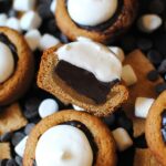 Summer Dessert Recipes - smores bites