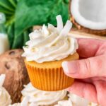 coconut recipes - Coconut Cupcakes