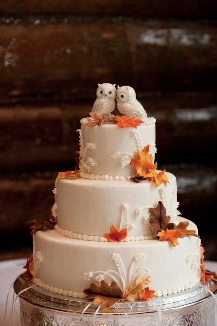 fall wedding cakes - two owls on a white cake with colorful frosted leaves