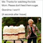 Great British Bake Off Memes - don't feed sugar