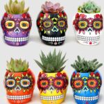 Trader Joe's Halloween 2023 - Succulent Skulls