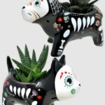 Trader Joe's Halloween 2023 - Day of the Dead Cat and Dog Succulent