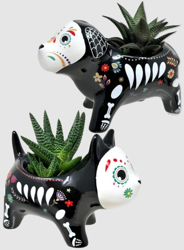 Trader Joe's Halloween 2023 - Day of the Dead Cat and Dog Succulent