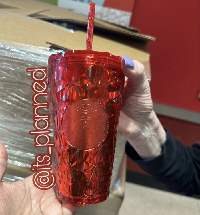 Starbucks Holiday Cups 2023 - Poinsettia Red Prism Cold Cup 