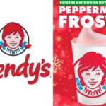 Wendy's Peppermint Frosty