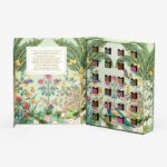 Food Advent Calendar 2023 - Compartes Gourmet Chocolate Advent Calendar