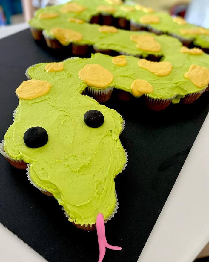 Snake Cakes - Cupcake Snake