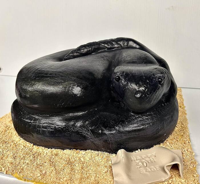 Snake Cakes - Black Snake Cake