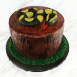 Snake Cakes - Anaconda Cake