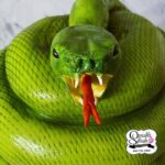 Snake Cakes - Hissing Snake Cake