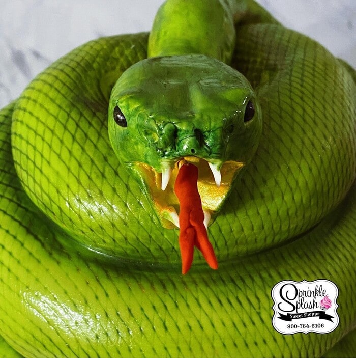 Snake Cakes - Hissing Snake Cake