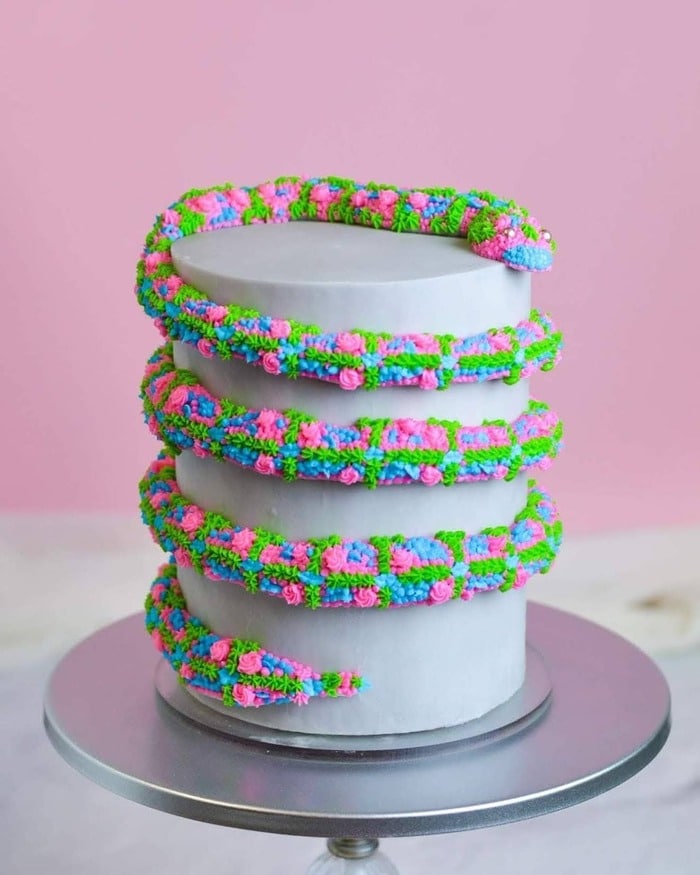 Snake Cakes - Bright Snake Cake