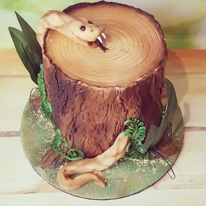 Snake Cakes - Snake on a Tree Stump Cake