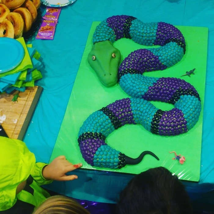 Snake Cakes - Candy Snake Cake