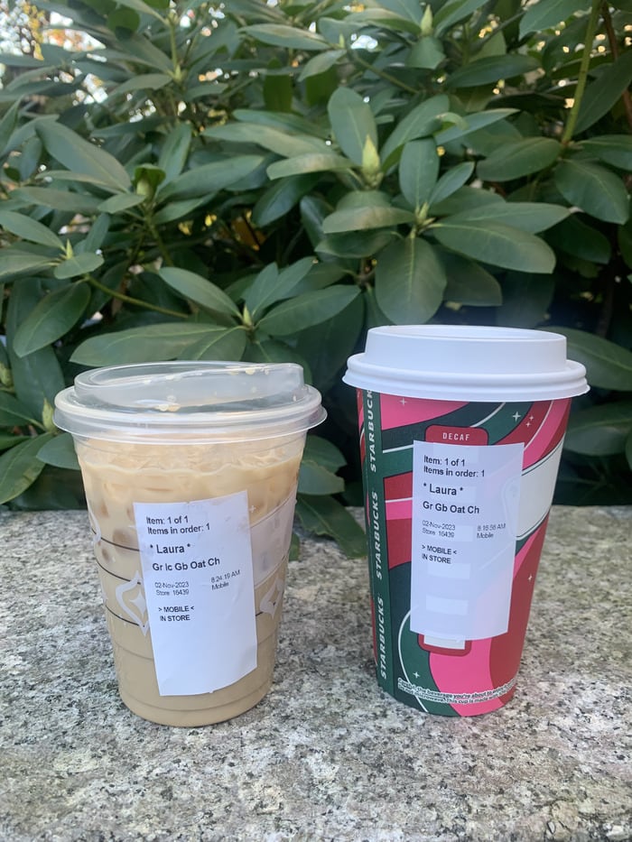 Starbucks Gingerbread Iced Chai Review - iced and hot