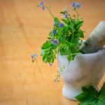 thanksgiving tips - fresh herbs
