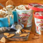 Trader Joe's Holiday Products Ranked - Gingerbread Ice Cream