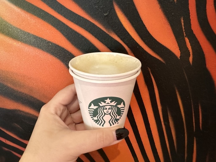 Best Hot Drinks at Starbucks Ranked - Flat White