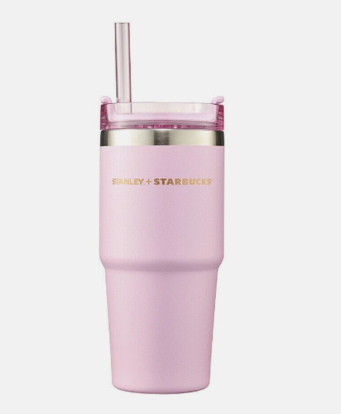 https://www.letseatcake.com/wp-content/uploads/2023/12/pink-starbucks-stanley-cup-7.jpg