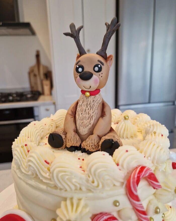 Reindeer Cakes - Perched