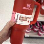 Stanley Cup Craze - Target Valentine's Day