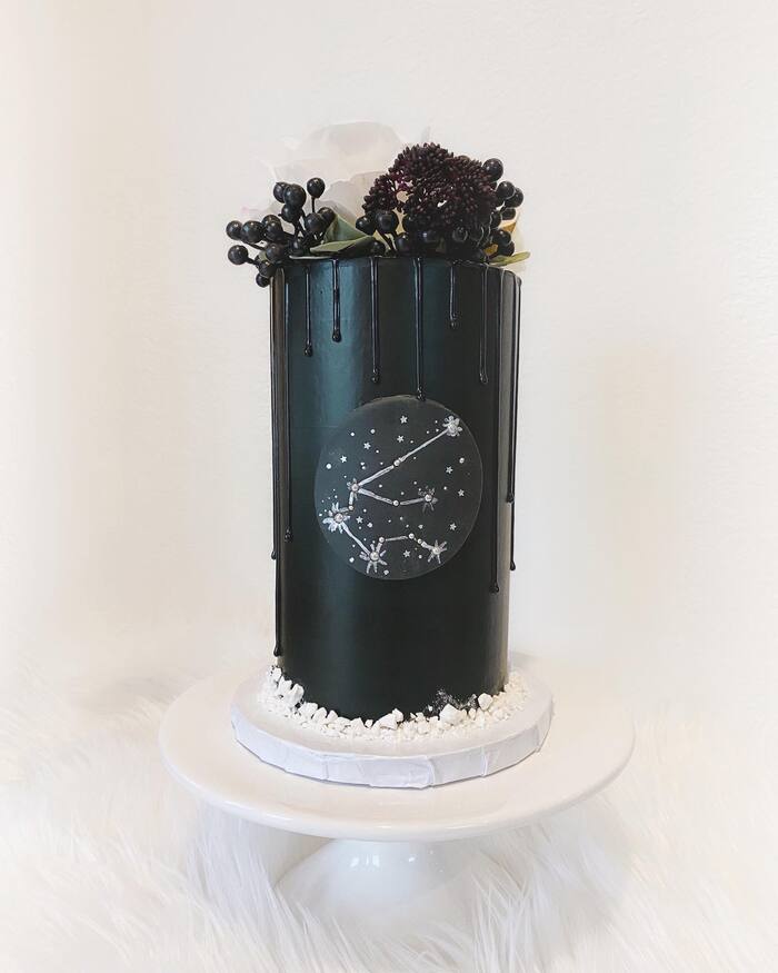 Aquarius Cakes - Gothic Aquarius Cake