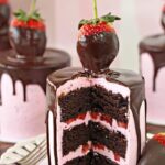 Valentine's Day Treats - Chocolate Covered Strawberry Mini Cakes