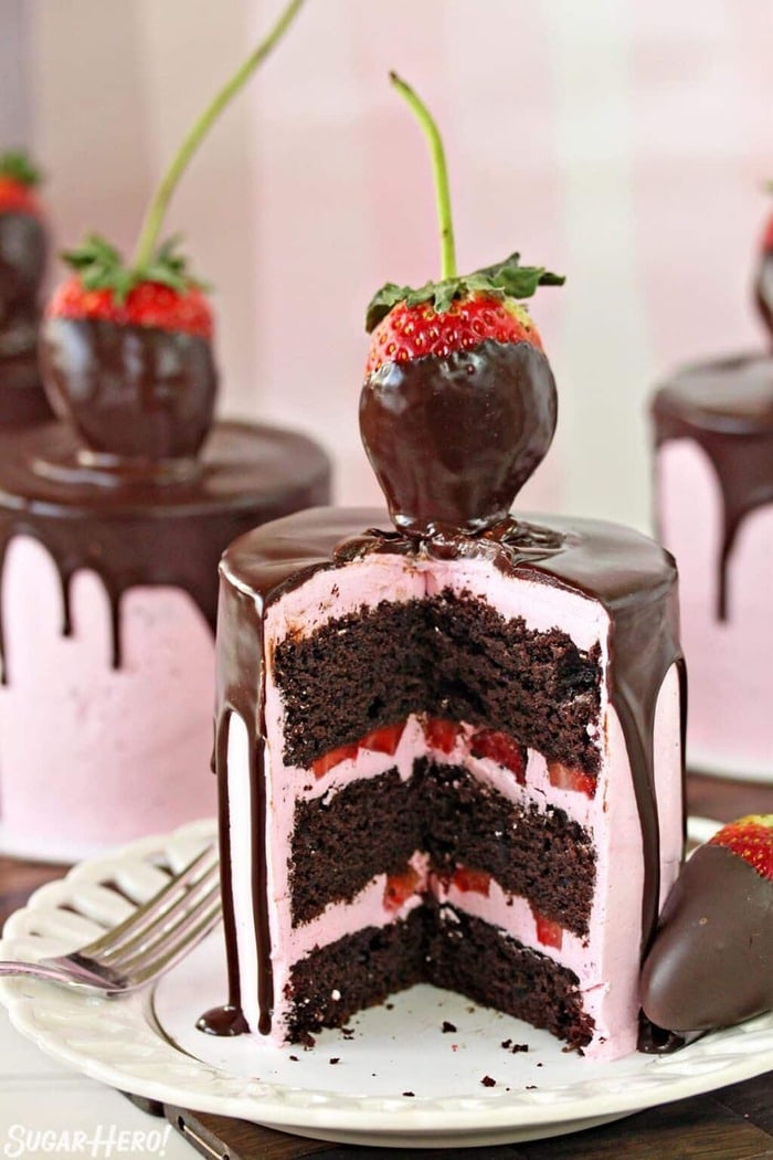 Valentine's Day Treats - Chocolate Covered Strawberry Mini Cakes