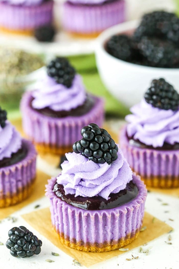 Lavender Recipes - Mini Blackberry Lavender Cheesecakes