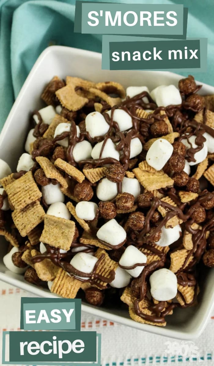 Taylor Swift Themed Super Bowl Party Ideas - S'mores Snack